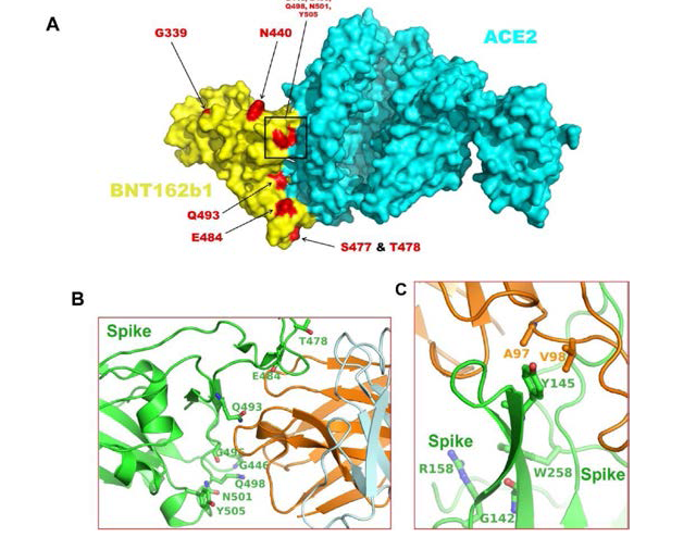 Insight and Perspective on Omicron’s Development, Behaviour, and Vaccine Breakthrough: Next Sequelae of COVID-19