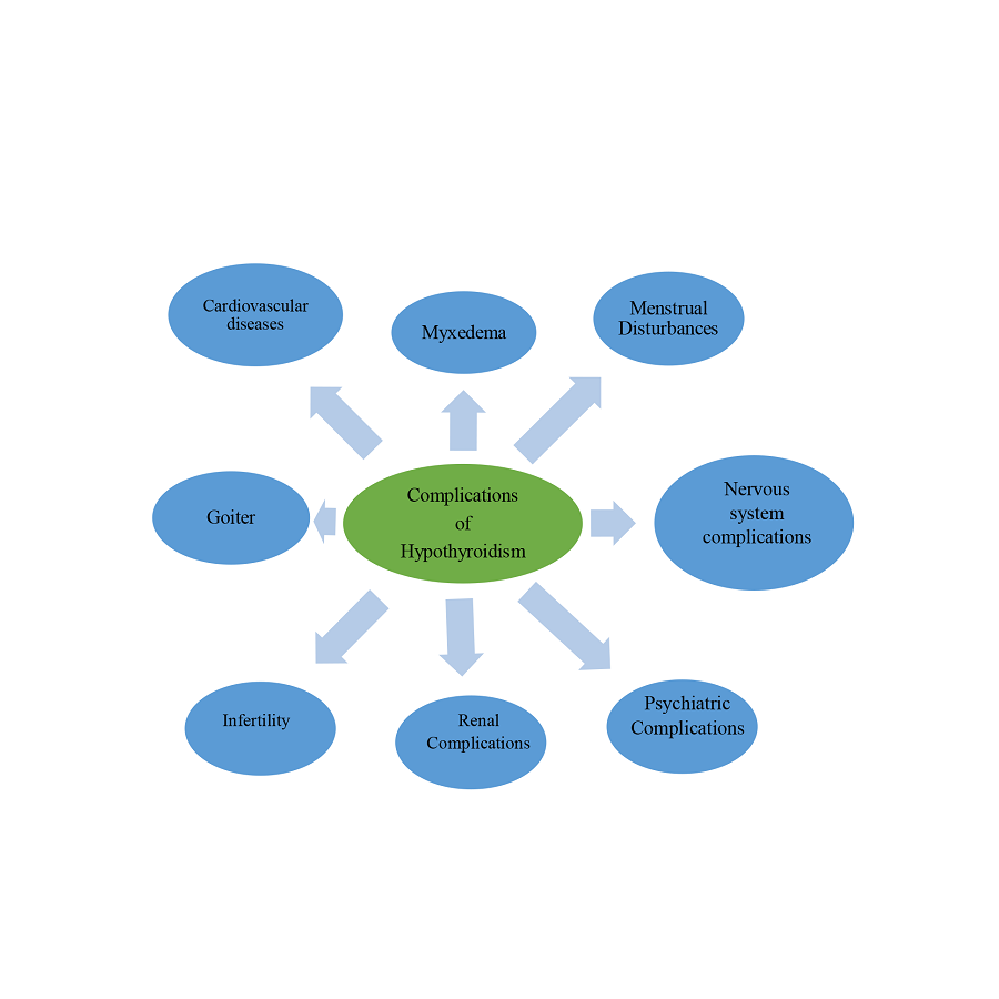 Impact of Hypothyroidism on Metabolic and Cognitive Dysfunction: A Comprehensive Review