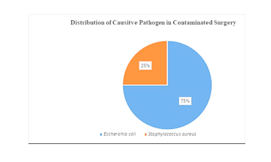 Bacteriological Analysis and Antibiotic Consumption in Various Types of Surgeries