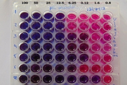 Antitubercular Activity of Essential Oils Extracted from Some Aromatic Plants, Flowers and Seeds
