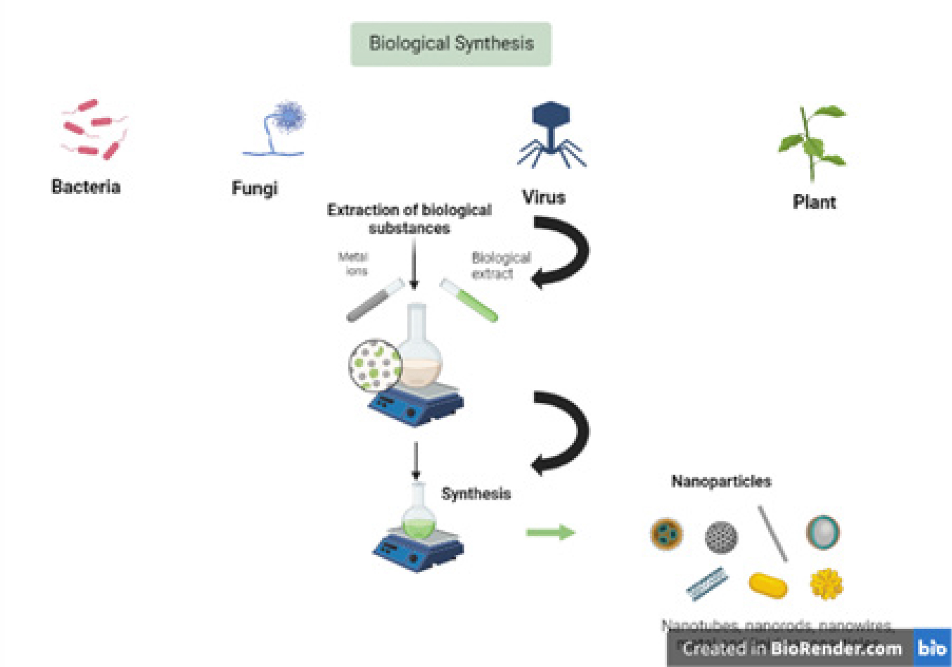 Biosynthesis of Nanoparticles by Micro-organisms and its Applications