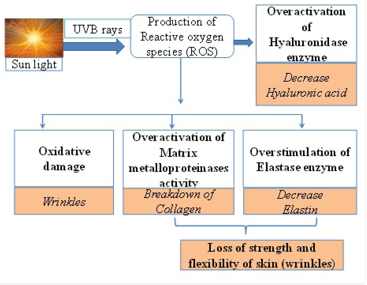 Phytoextract Loaded Nanoemulsions for Age-Defying Effects: A Review
