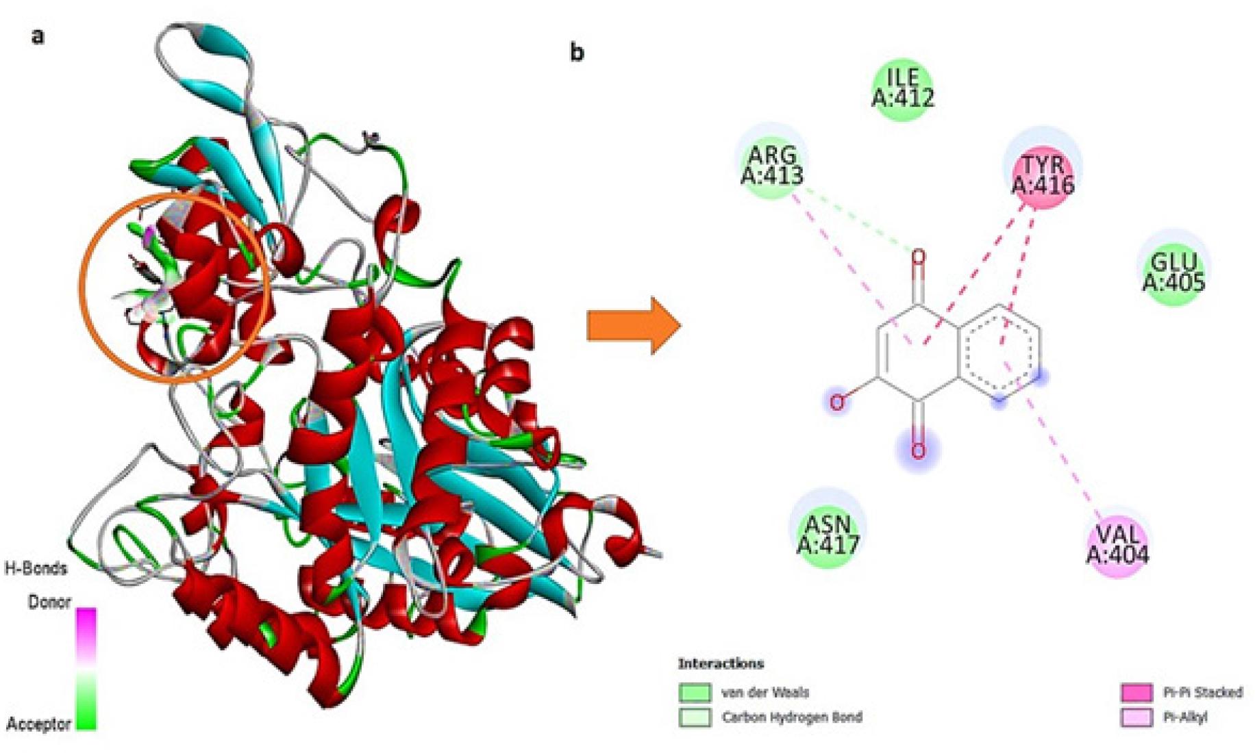 Inhibitory Effects of Lawsone Methyl Ether and Lawsone and their Synergistic Interactions with Acarbose against α-Glucosidase: In silico and in vitro Studies