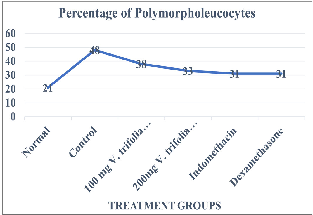 Effect of Hydroalcoholic Extracts of Leaves of Vitex trifolia Linn. on Chronic Inflammation and Tuberculosis