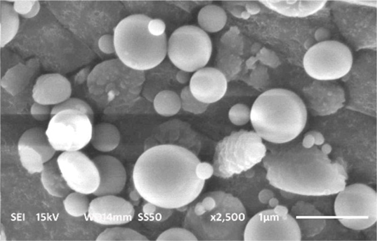 Quality by Design and Optimization of Favipiravir Nanoparticles Using 3-Level Factorial Design by Box-Behnken Method