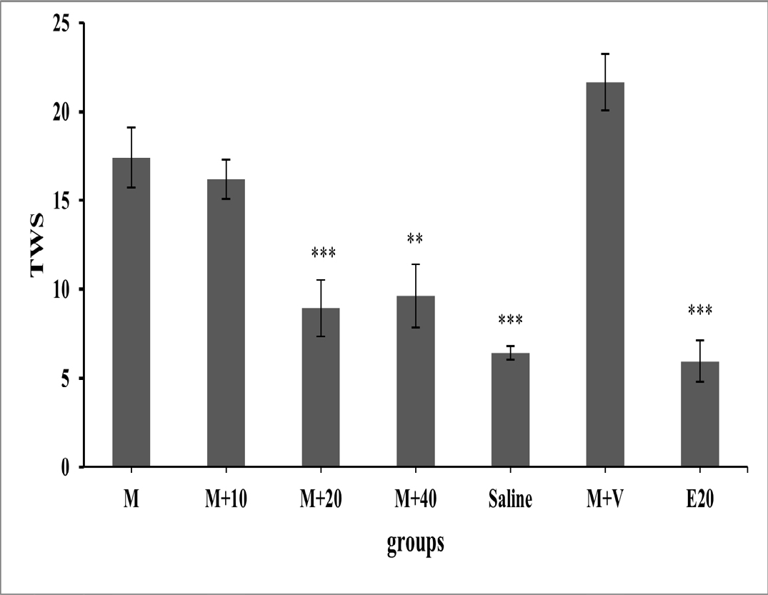 The Effect of Marrubium vulgare on Morphine Tolerance and Withdrawal Syndrome in Male Rats