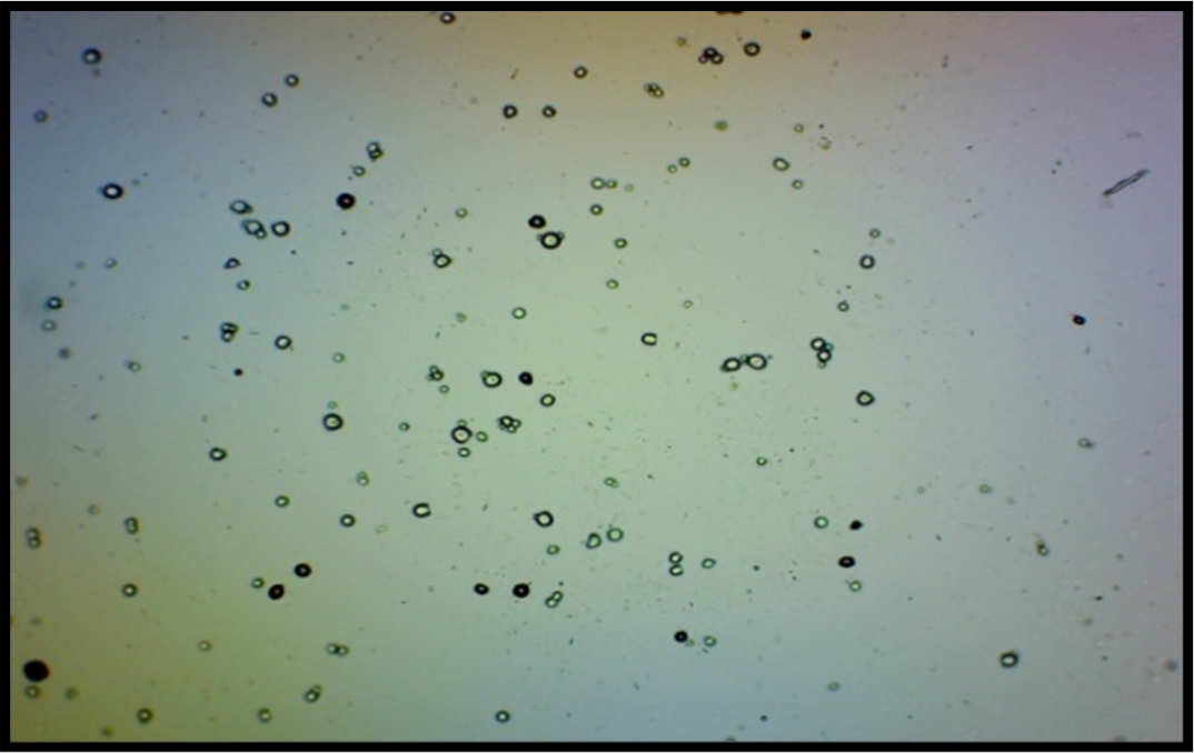 Innovative Formulation of Tridax procumbens Ethosomes: A Study on Properties and Drug Release Kinetics