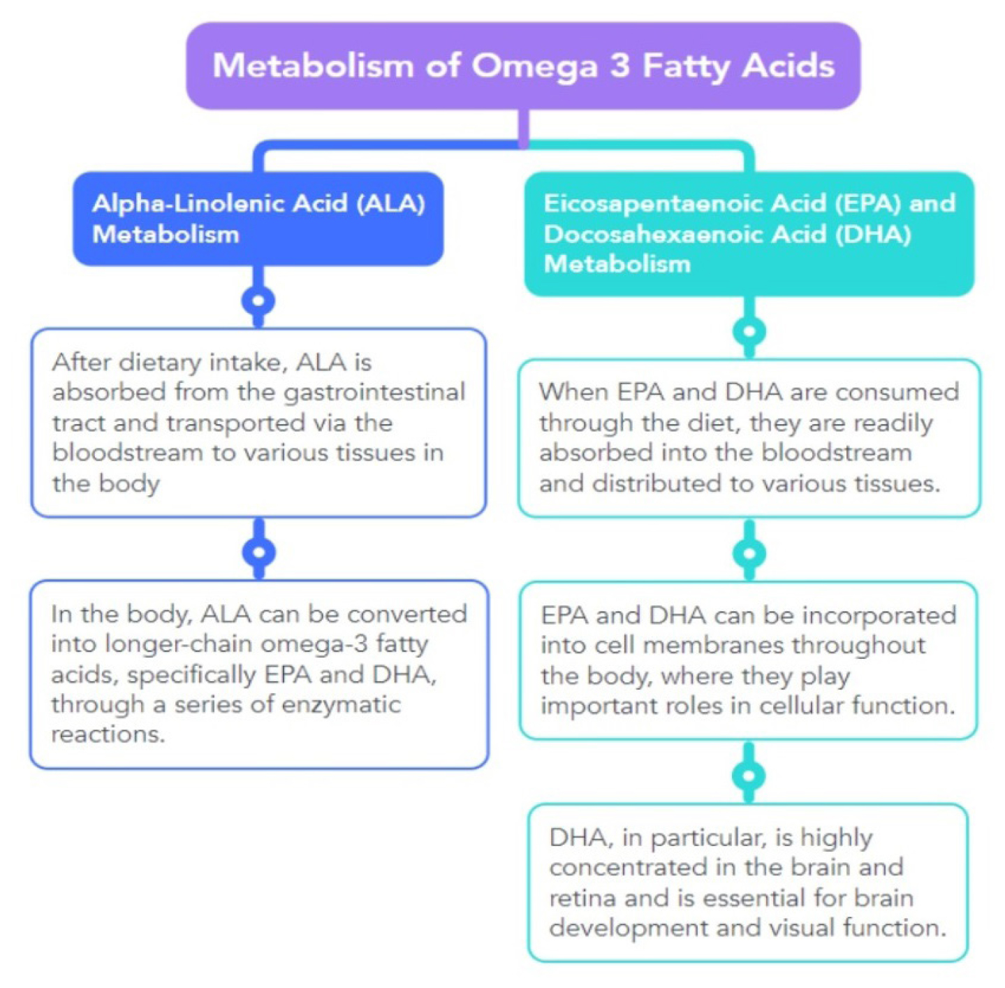 Incredible Use of Omega-3 Fatty Acids: A Review on Current Use and Future Prospective