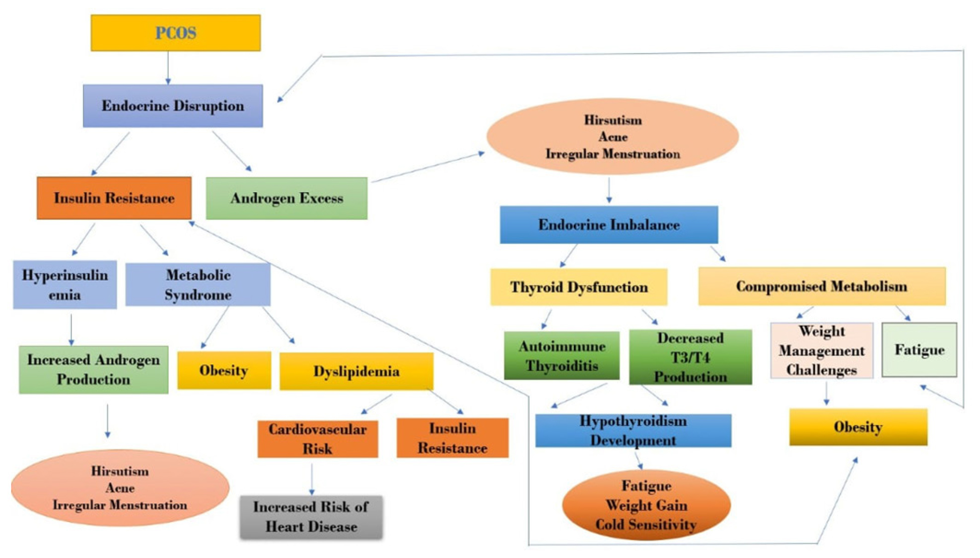 Exploring the Connection between Hypothyroidism and Polycystic Ovary Syndrome: A Comprehensive Review