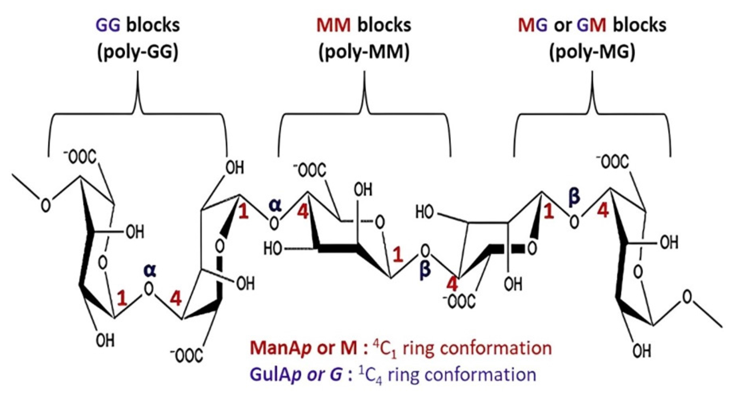 Green Fabrication Approach to Hydrogel Synthesis by Using Natural Polymers, their Characterization, and Applications