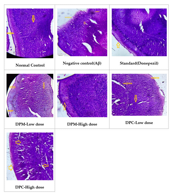 Neuroprotective Effect of Diplocyclos palmatus on Aβ (25-35) Induced Alzheimer’s Disease in Mice
