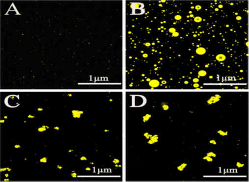 Evaluation of Topical Anti-Inflammatory Potential of Mentha piperita L. Extract by Formulation of Microemulgel