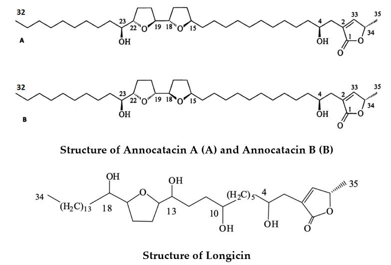 Phytochemical Properties and Therapeutic Applications of Annona muricata: A Comprehensive Review