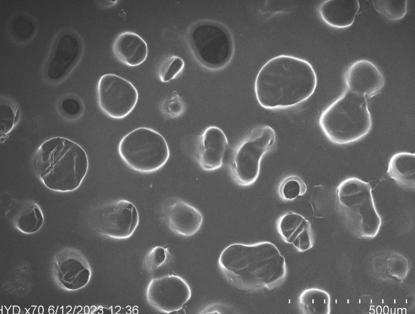 Bioavailability Enhancement of Nebivolol Hydrochloride Loaded Transferosomes via Transdermal Route: Pharmacokinetic and Pharmacodynamic Evaluation in Rats