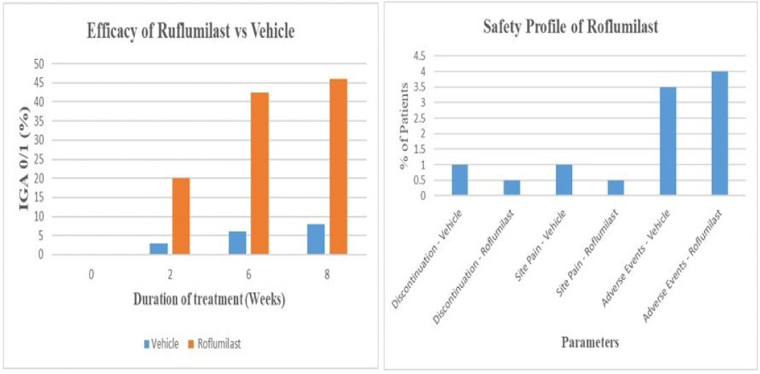 Systematizing PDE4 Inhibition in Psoriasis Treatment: Roflumilast Leads the Way