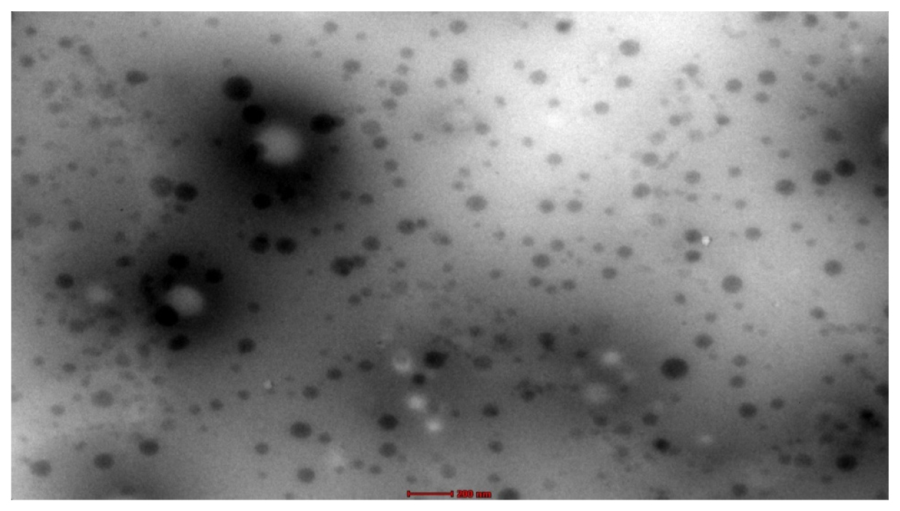 Formulation and Evaluation of Retinoic Acid Loaded Quatsomes for Topical Application