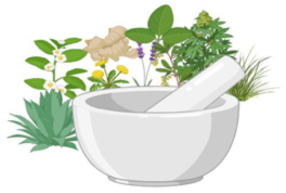 Exploring the Use of Herbal Medicines in the Context of Dermatokinetic Research
