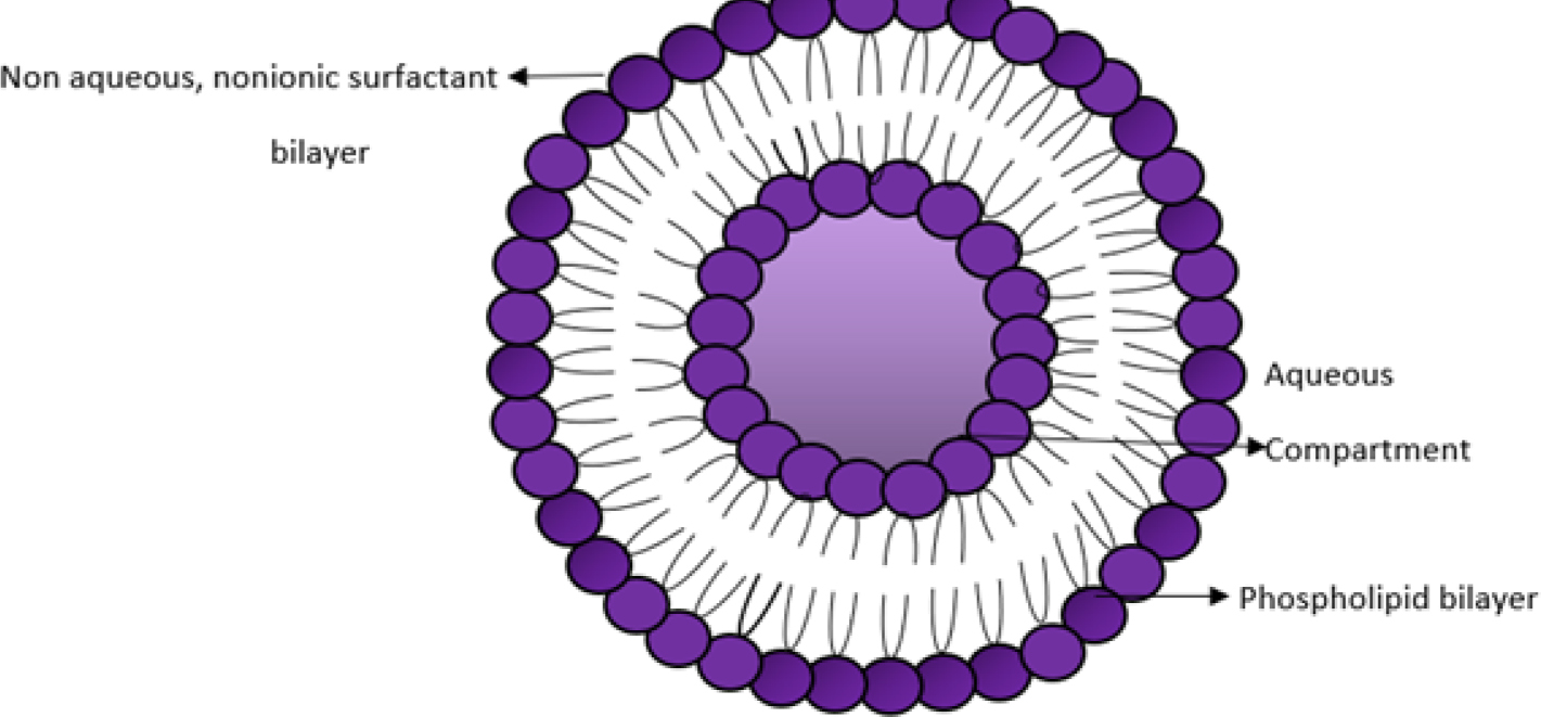 Novasomes: A Versatile Drug Delivery System for Enhanced Therapeutic Efficacy