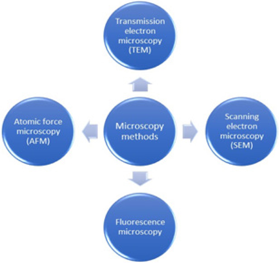 Zinc Oxide Nanoparticles for their Anti-Convulsant Property: A Comprehensive Review