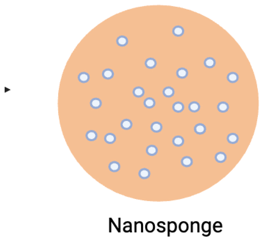 Nanosponges: An Emerging and Promising Strategy in Drug Delivery