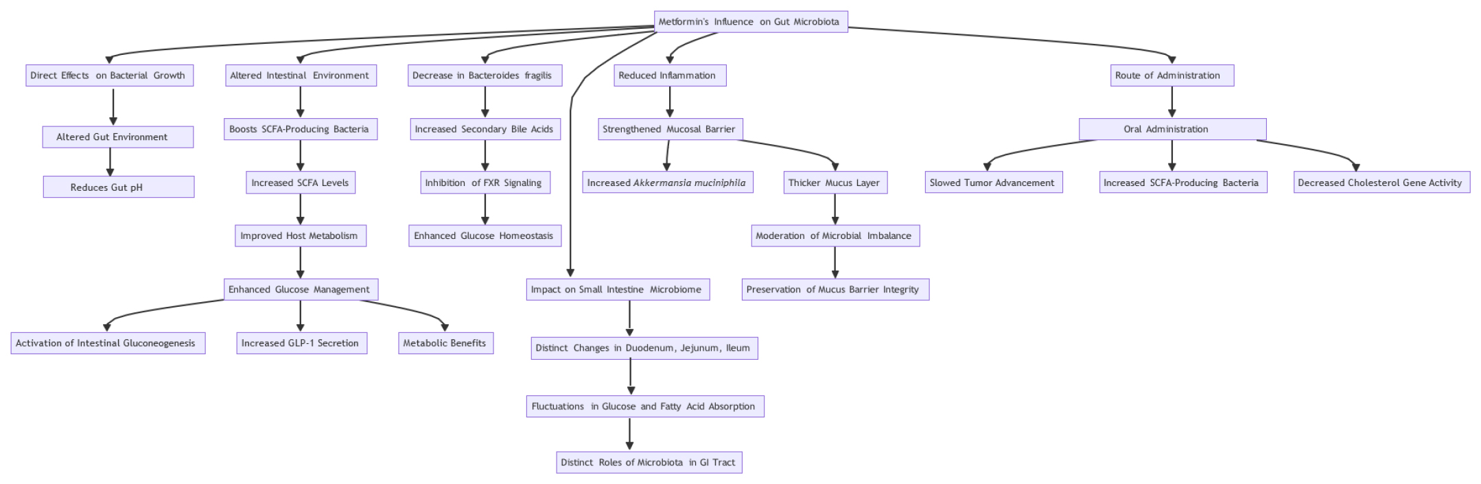The Impact of Metformin on Neurological and Metabolic Function through Gut Microbiota