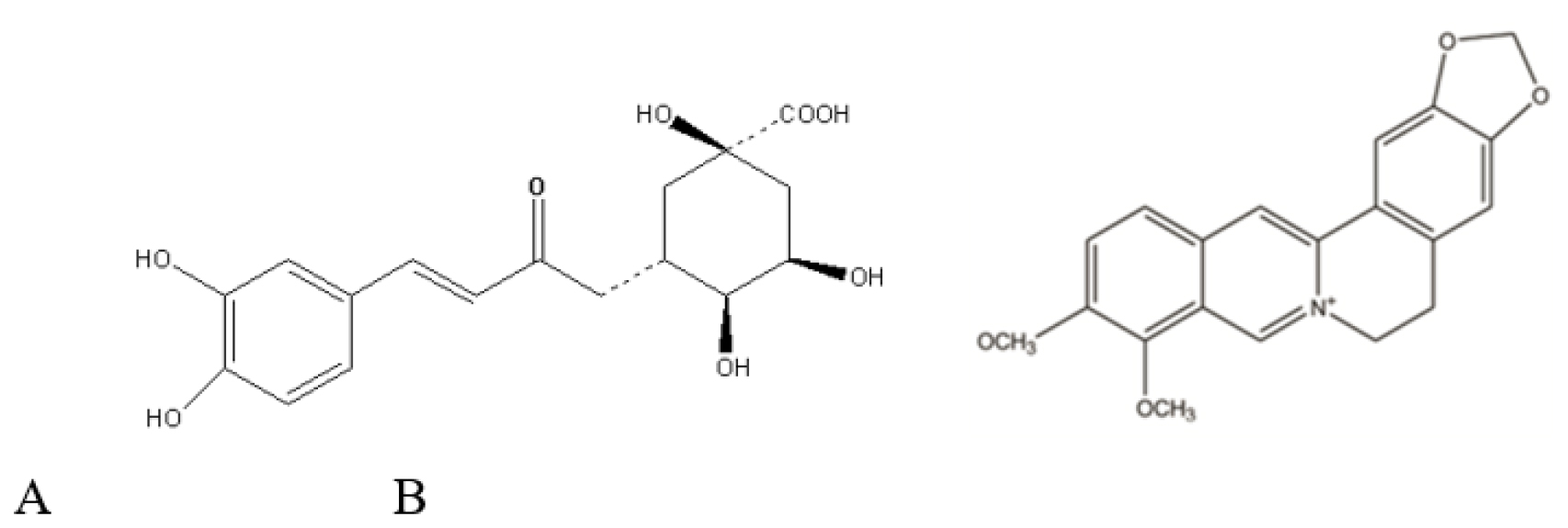 Stability Indicating Simultaneous Quantification of Chlorogenic Acid and Berberine in Homeopathic Polyherbal Formulation by AQbD Based HPLC