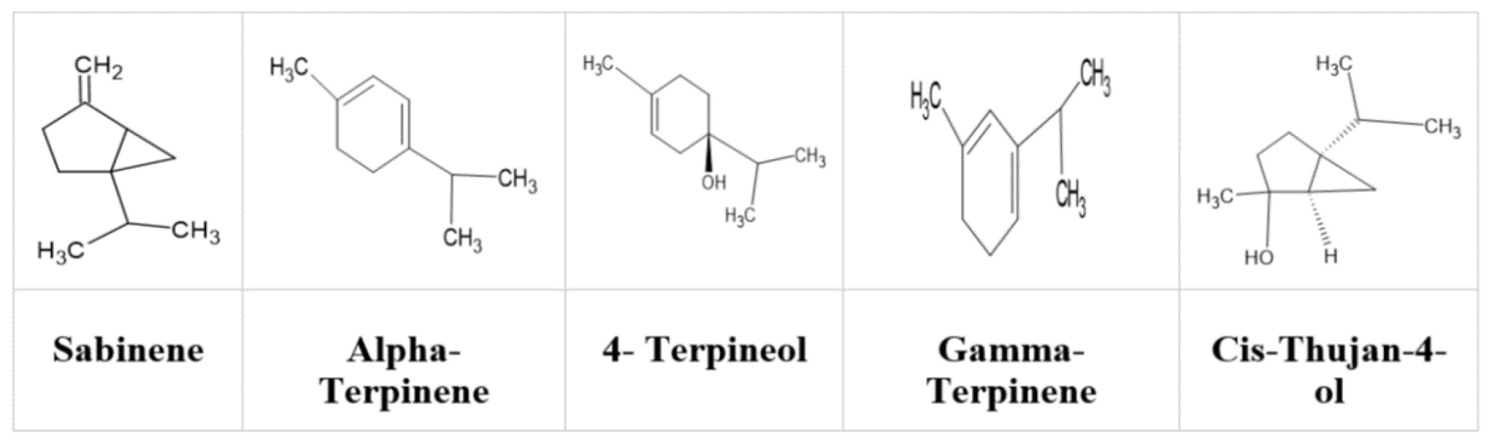 Development of Microemulsion of Marjoram Oil in the Line of Treatment of Otitis Media