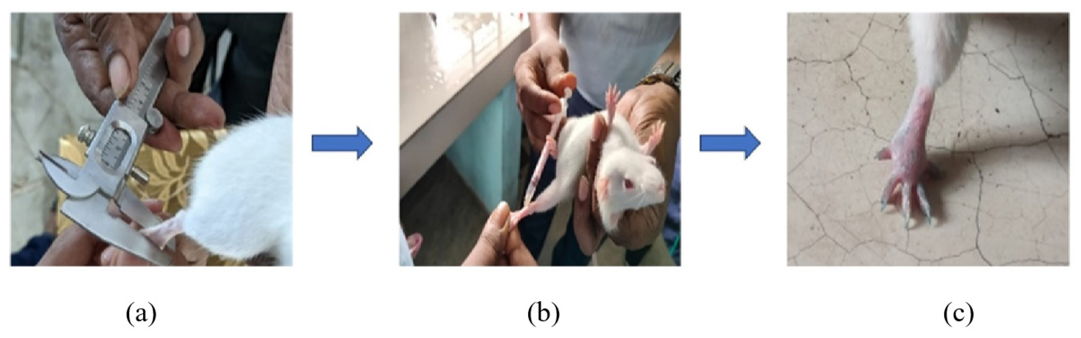 Formulation and Evaluation of Polyherbal Pain Relief Gel for its Effect on Rheumatoid Arthritis