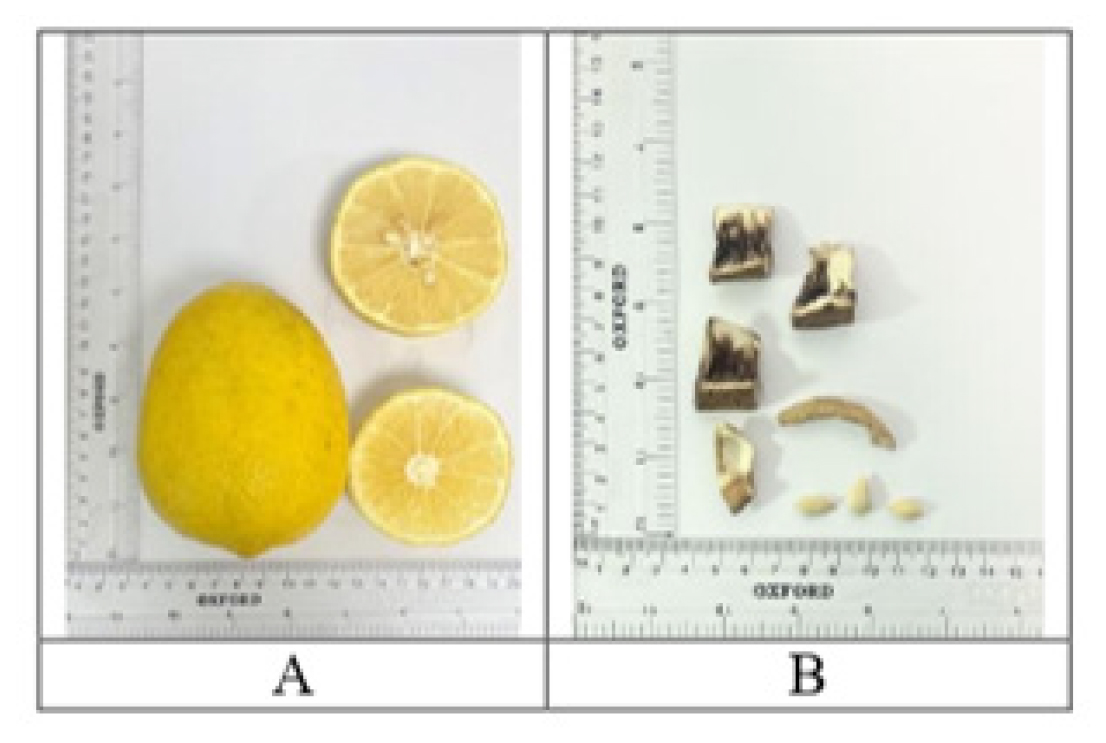 Comprehensive Study on the Pharmacognostical, Physico-Phytochemical, and Analytical Properties of Citrus limon (L.) Burm. F. Fruit
