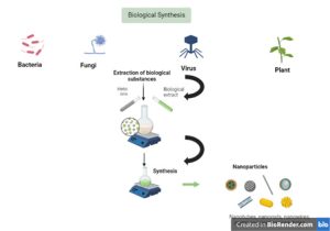 Biosynthesis of Nanoparticles by Micro-organisms and its Applications