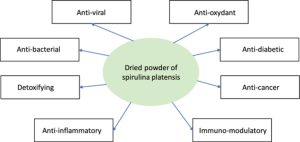 Spirulina: Pharmacological Activities and Health Benefits