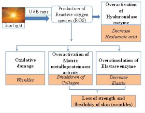 Phytoextract Loaded Nanoemulsions for Age-Defying Effects: A Review