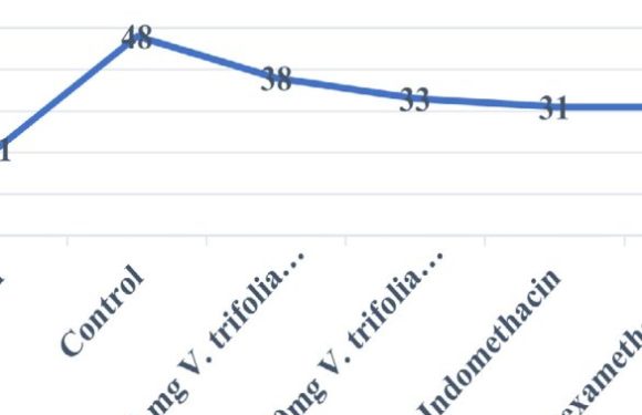 Effect of Hydroalcoholic Extracts of Leaves of Vitex trifolia Linn. on Chronic Inflammation and Tuberculosis