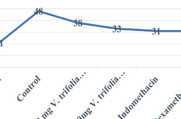 Effect of Hydroalcoholic Extracts of Leaves of Vitex trifolia Linn. on Chronic Inflammation and Tuberculosis