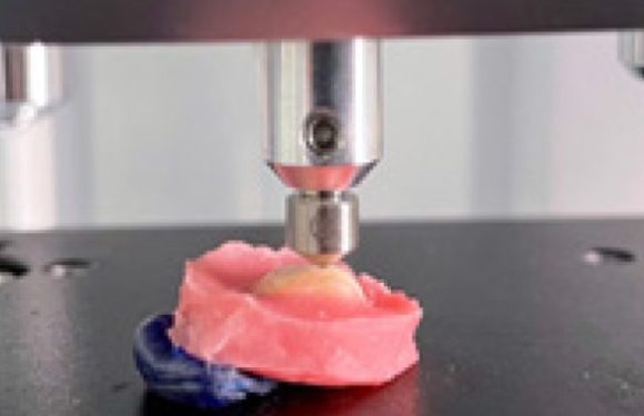 Comparative Evaluation of Microhardness of Two Conventional and Hydrophilic Fissure Sealants: An in vitro Study